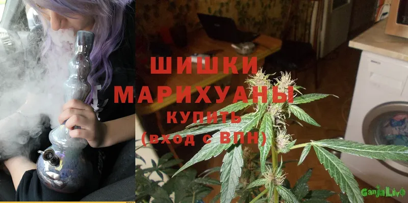 Конопля Ganja  Хабаровск 